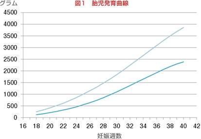 30 週 体重