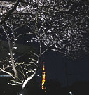 東京タワーがいい感じ 東京タワーがいい感じ