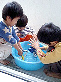 水遊びしてます。暖かくなってきたなぁ。