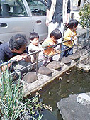 お散歩
