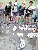 海の体験学習で採れた魚