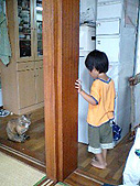 猫のハナが怖くてお弁当を台所に出せないコウタ