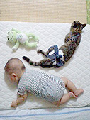 ユウタの布団で眠る寅