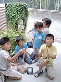 男の子5人はカブトムシに夢中