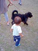 犬が好き