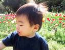 花と泣き虫 花と泣き虫