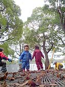 葉っぱも髪も舞い上がります
