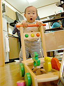 ツバサ 1歳