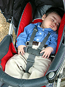 ���΂������̂������̊Ԃ��₷��Q�Ă����^�C���B
