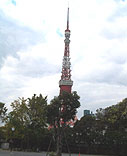 東京タワーのお膝元 東京タワーのお膝元