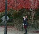 善峰寺の紅葉 善峰寺の紅葉