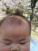 二人でお花見したの。抱っこしながらの撮影は厳しい。