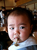 最近、シメジが好きみたい。食べるんじゃなくて、チューチュー吸ってちぎって終わり。