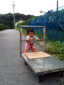 先週とは違う台車でお散歩。珍しく押してます。