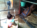 お馬さん必死っ!!