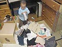 えっへっへ。全部出してみました。