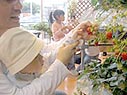 これがイチゴ?こんな風になってるの初めて見た!