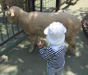 うひょ。またお会いしましたね。