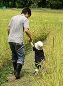 興奮しすぎて、田んぼにハマった!(笑)