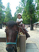 とーちゃんと動物園へ。初めて馬に乗ってご満悦!