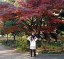 皇居の一日 part2 皇居の一日 part2