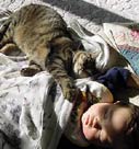 猫とおねんね 猫とおねんね