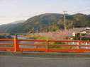 のどかな風景 のどかな風景
