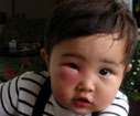 今日の健太 今日の健太