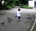 待て、待て〜 待て、待て〜
