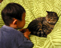 この跡猫にやられた この跡猫にやられた
