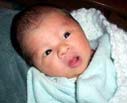 どっち似? どっち似?