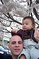 ミツワ駐車場の桜 ミツワ駐車場の桜