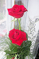 ジョーからの薔薇。残っているのは2輪だけですが… ジョーからの薔薇。残っているのは2輪だけですが…