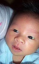 実際はこんなにおっきな鼻ではない…が。(やはりジョーの子?) 実際はこんなにおっきな鼻ではない…が。(やはりジョーの子?)
