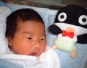 �p�p��