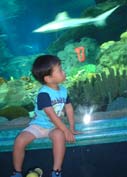 �T���ɋ���