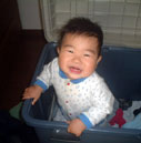 �R���e�i���炱��ɂ���