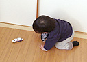 チョロQに夢中です