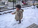 ちょっとだけ雪を体験