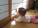 障子を破り中(やめて!)