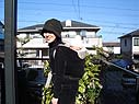 これが亀の甲お散歩スタイル