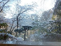 露天風呂からの清清しい雪景色。またみんなで一緒に来れるかな。