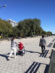 公園をお散歩