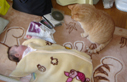 俺、兄ちゃん