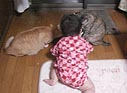 何やってんのー?