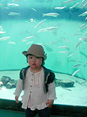 お魚きれいだったね!