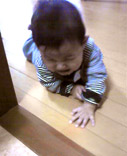 いっちょ前に後追い中