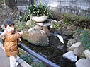 鳥さん発見!