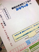 カルガモ親子から暑中見舞い!