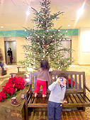 大きなクリスマスツリーに大喜び